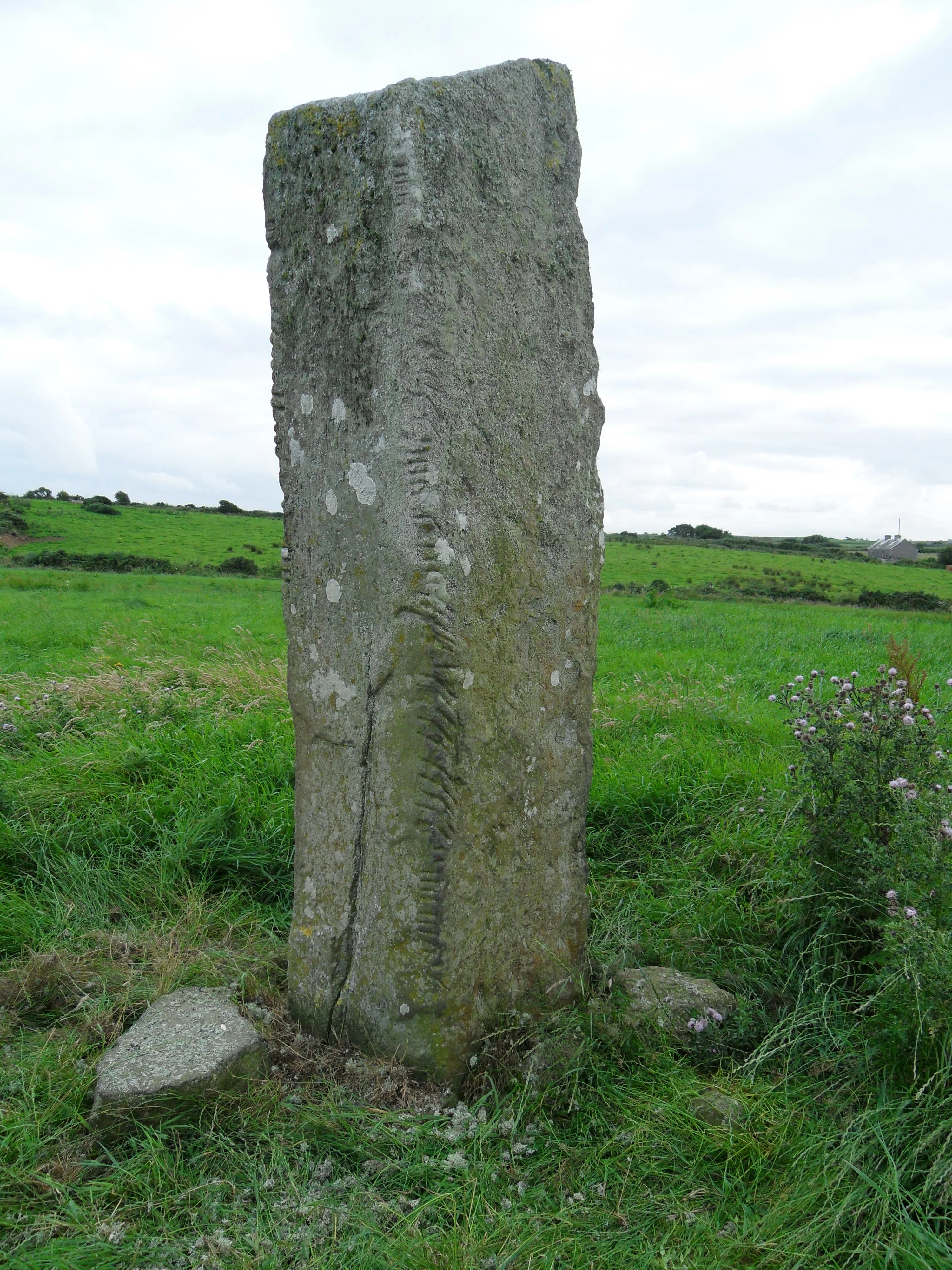 The Breastagh Ogham stone, a national monument in County Mayo, Ireland