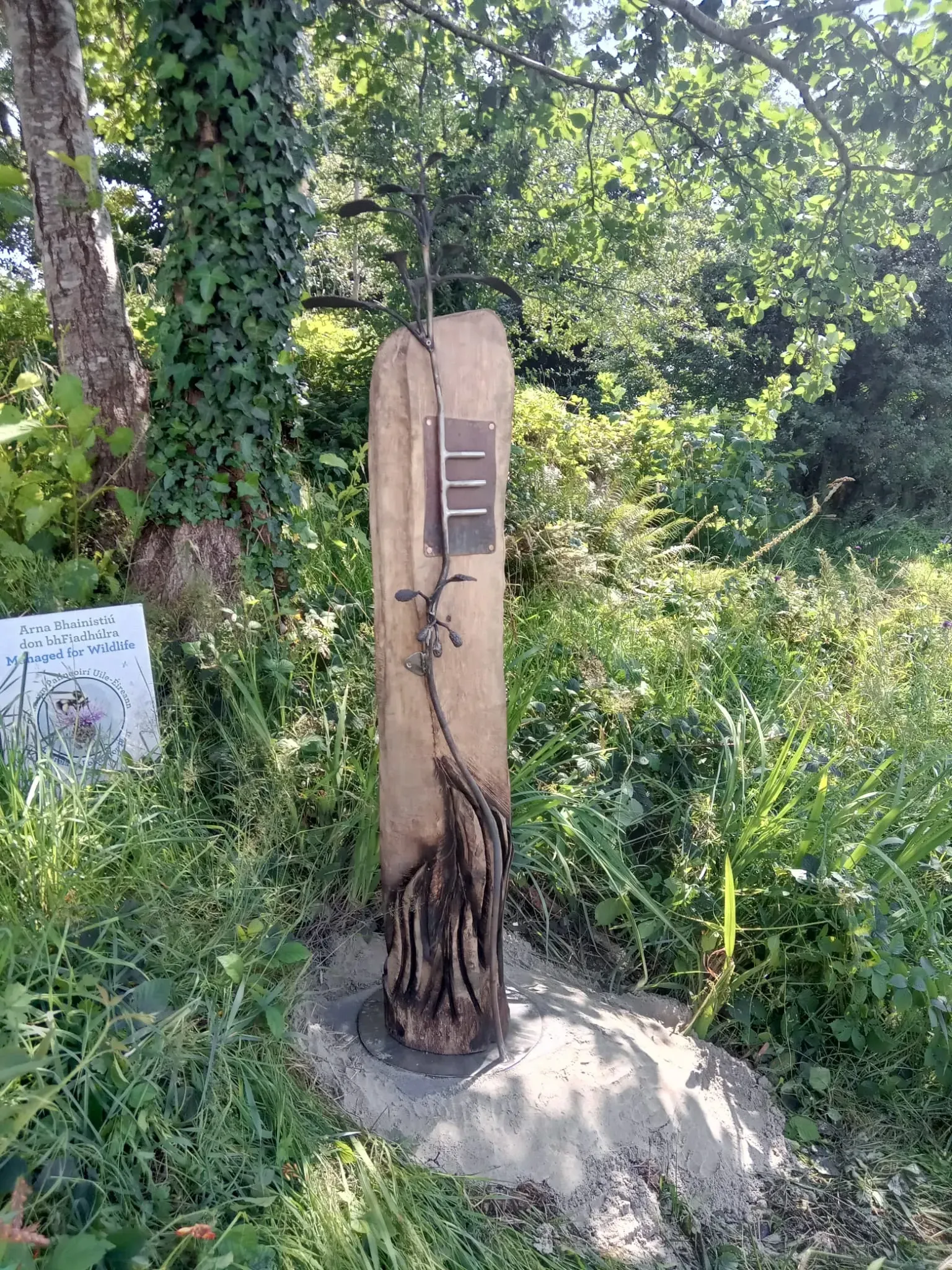 Ogham Tree Trail sculpture in Sneem, Co. Kerry