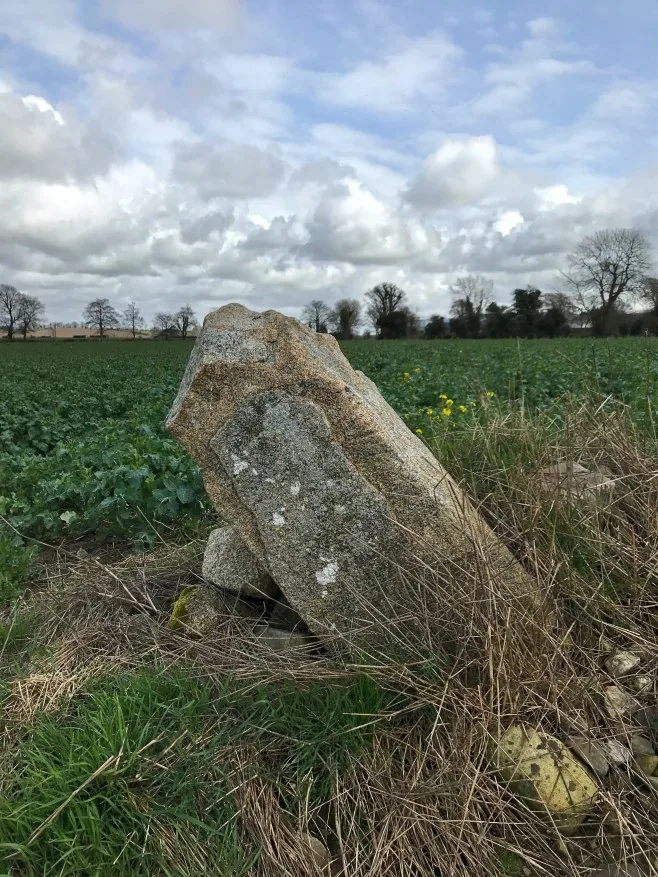 Patrickswell Ogham stone, Co. Carlow