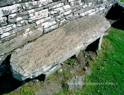 Inis Cathaigh | Scattery Island (I-CLA-005) — image 2