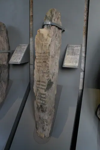 Baile an Chamhaicigh Thuaidh | Ballyknock North 11 (I-COR-041) ogham stone