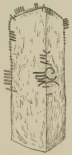 Baile Sheanc | Ballyhank 5 (I-COR-050) ogham stone