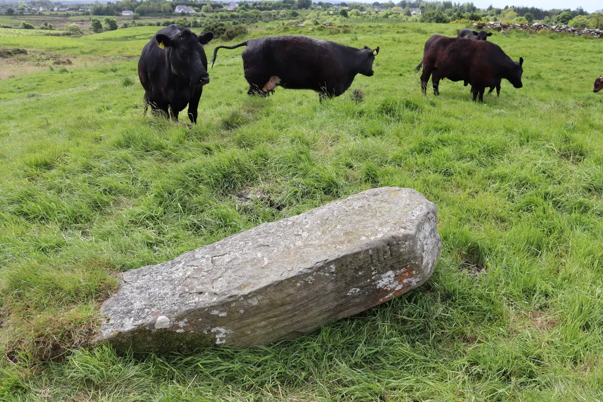 Island Ogham stone on the barrow, Co. Mayo