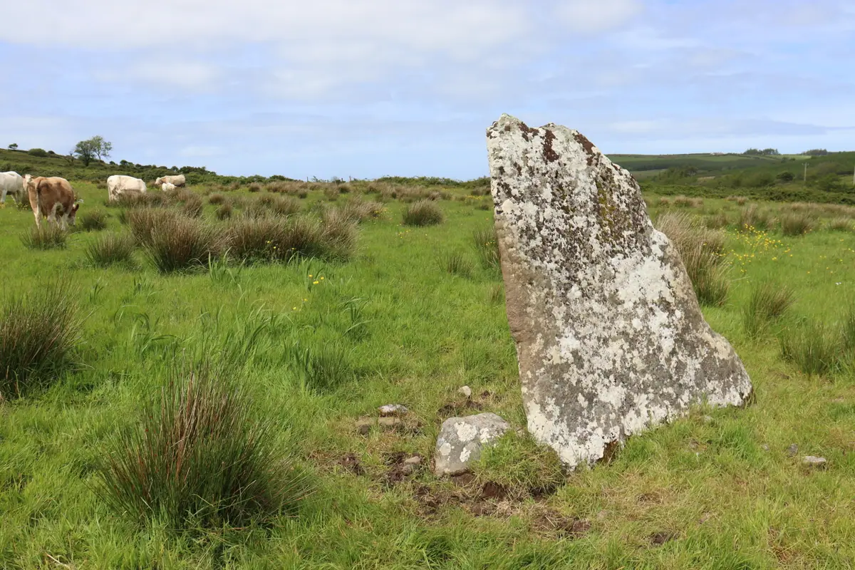 Aghaleague Ogham stone leaning in the pasture, Co. Mayo