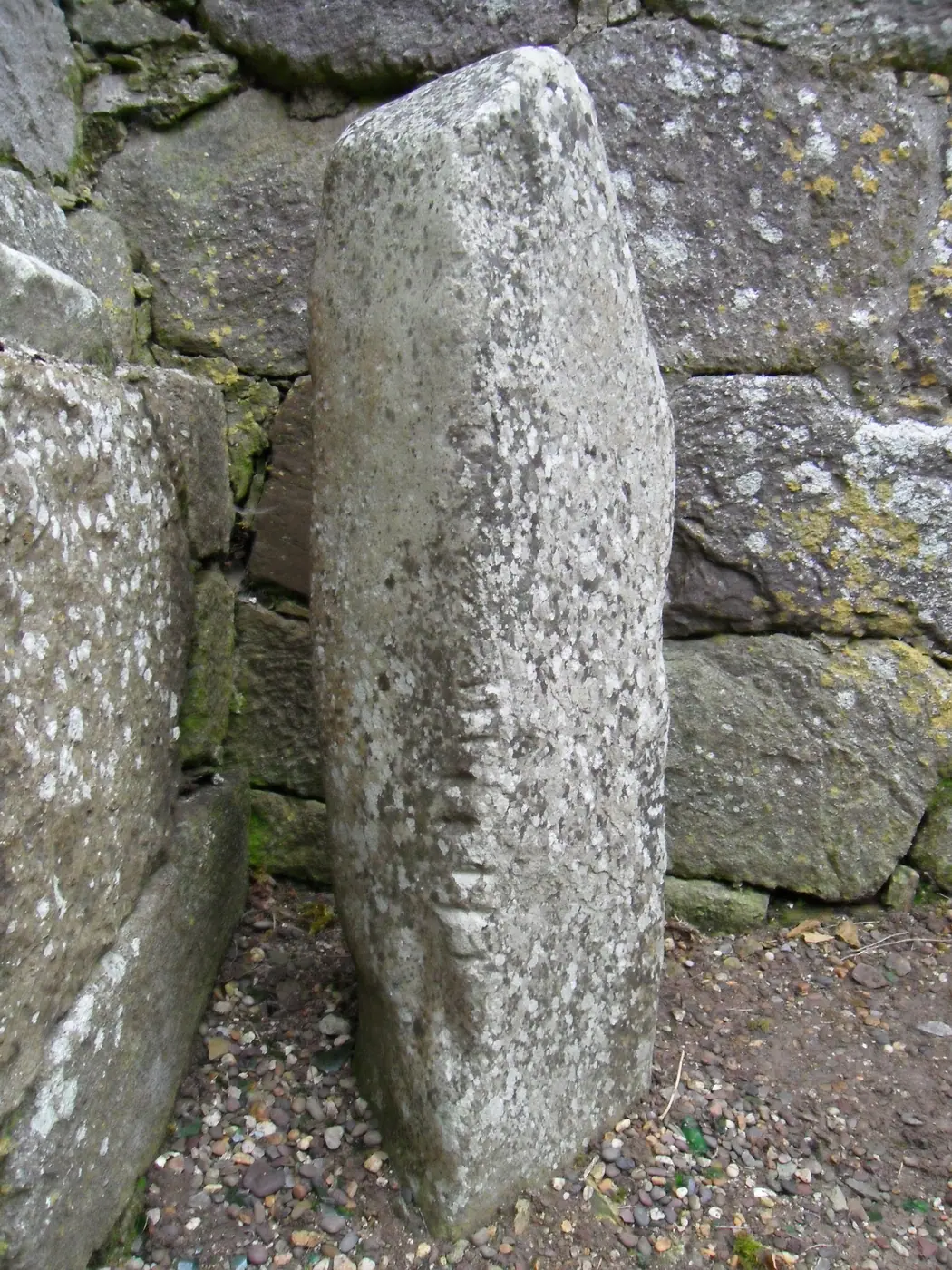 Ardmore 3 Ogham stone (I-WAT-004) in the cathedral chancel, Co. Waterford