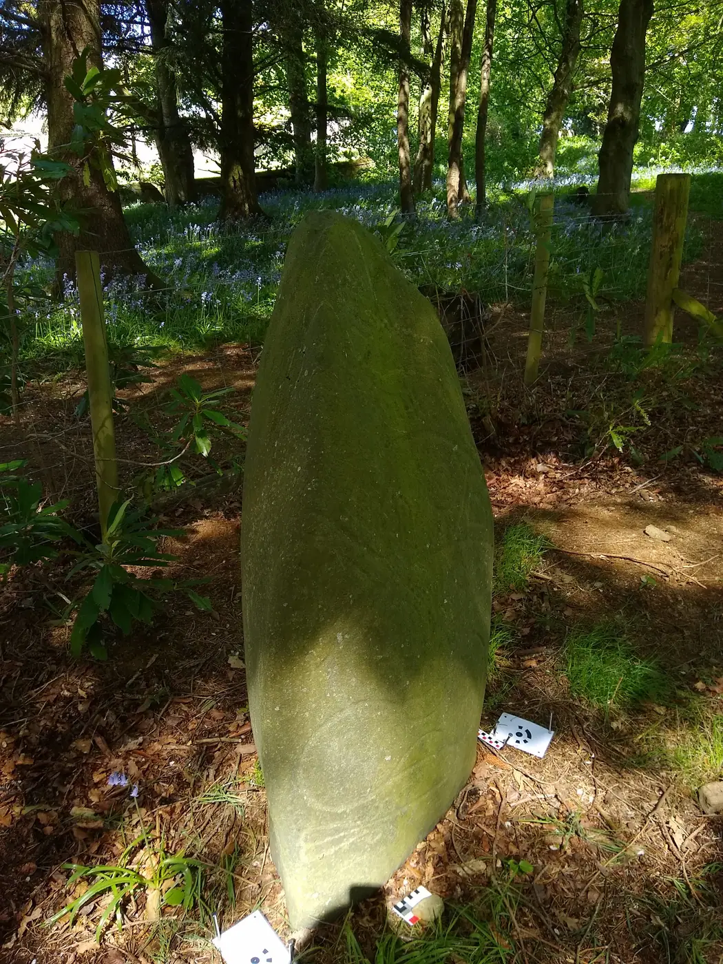 Logie Elphinstone (S-ABD-002)