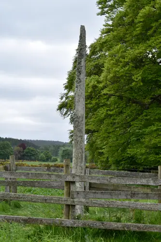 Altyre (S-MOR-002) — image 2