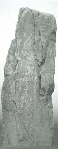 Clocaenog (W-DEN-001)