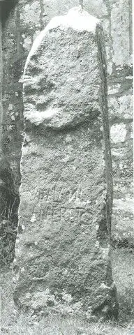 Nevern 2 (W-PEM-008)