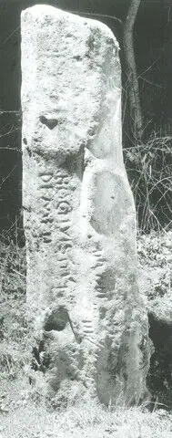 St Dogwells (W-PEM-009) ogham stone